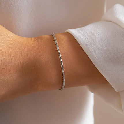 Stainless Steel Snake Bone Chain Bracelet - Gold & Silver Y2K Fashion Jewelry for Women