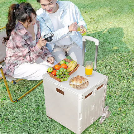 Folding Shopping Cart - Lightweight Stair Climbing Trolley