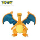Charizard / 20-30CM