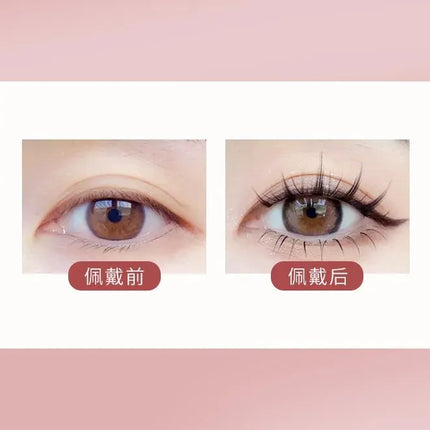 5 Pairs Little Devil False Lashes