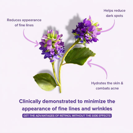 Bakuchiol Eye Serum — Gentle Retinol Alternative for Fine Lines & Dark Circles