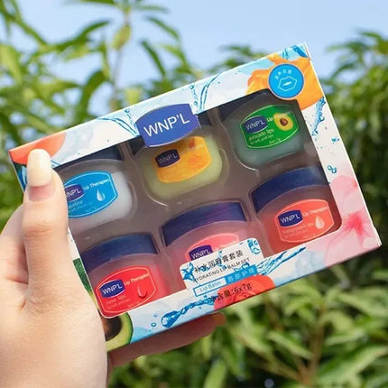 Moisturizing Natural Plant Based Lip Balm Care Sets of 4/6/8pcs