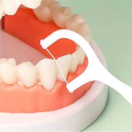 Portable Disposable Dental Floss Picks - 1/2/5/10 Box Set