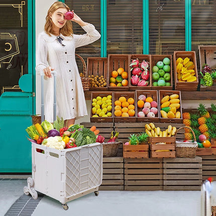 Folding Shopping Cart - Lightweight Stair Climbing Trolley